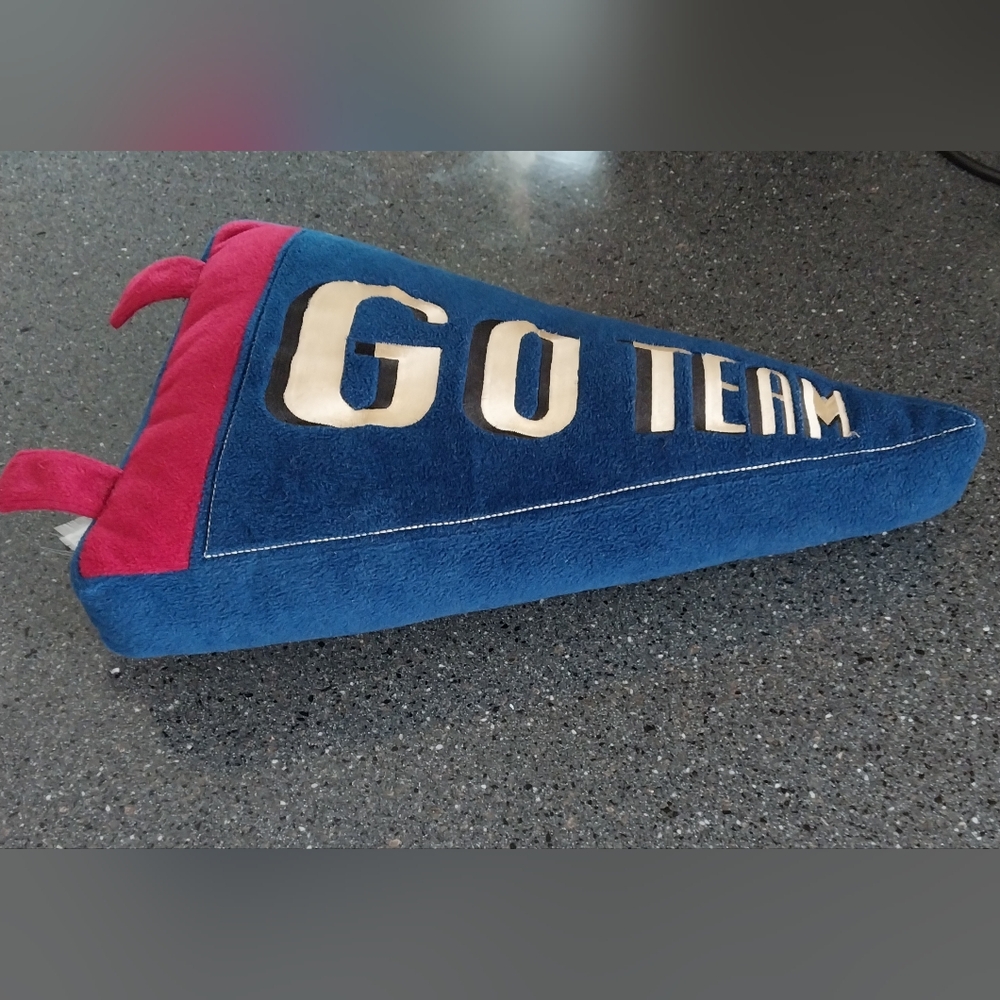 Whisper Mills Decorative Pillow "Go Team"